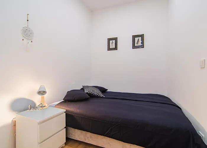 Flexible Selfcheckins 61 & 62 - Zagreb - New - Center